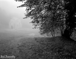 Fotógrafos en la Niebla